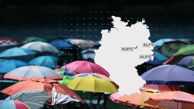 Rekordhitze in Westeuropa und ihre Auswirkungen auf Klima und Umwelt