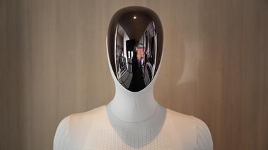 USA verbieten Einfuhr von humanoiden Robotern und Wechselrichtern aus China