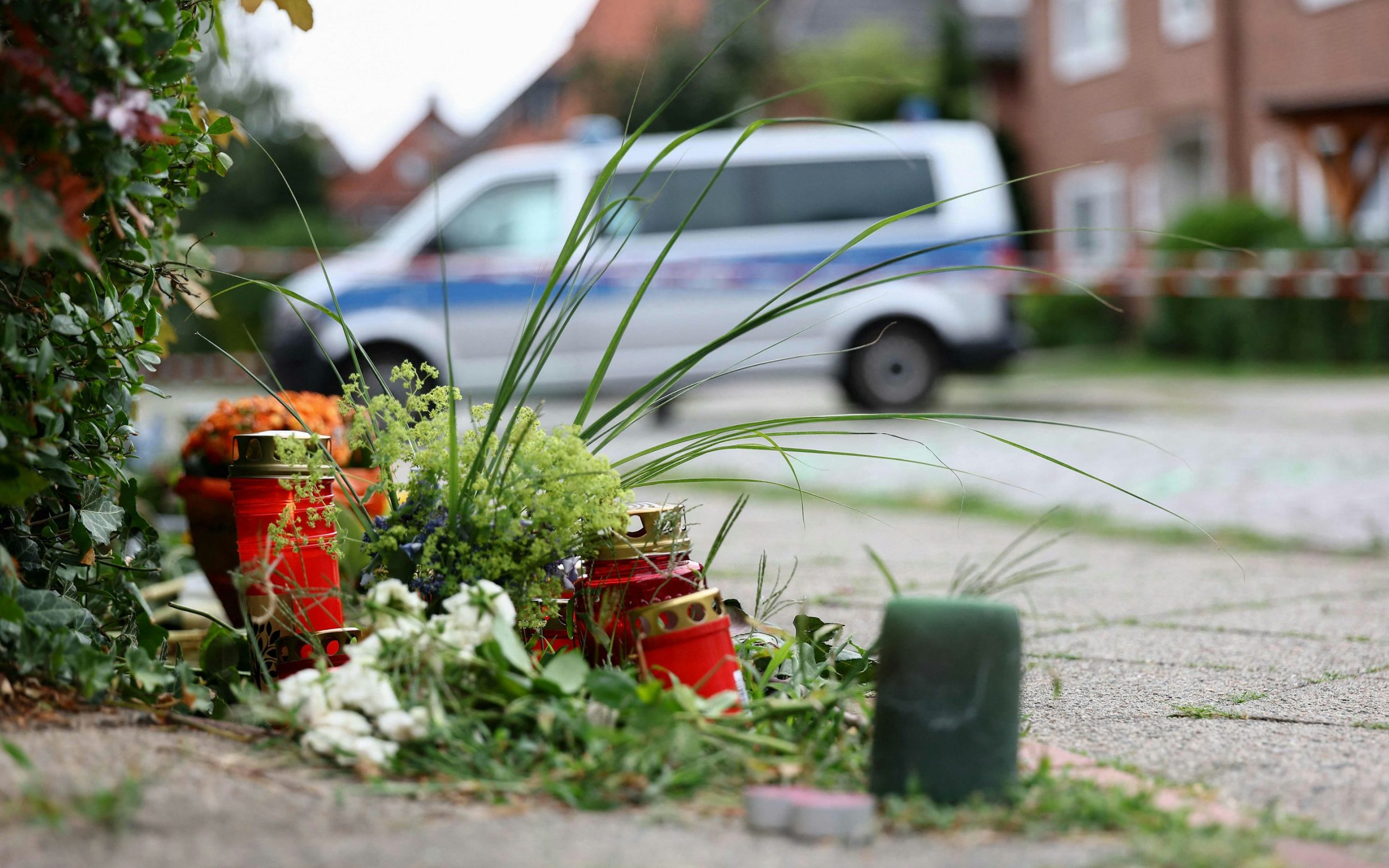 Chronologie eines Alptraums: Von der Diagnose zum Tod
