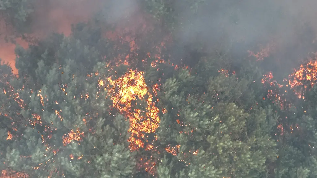 Brandgefahr durch Munition im Müritz-Nationalpark