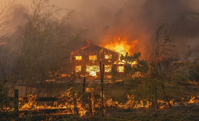 Vergessene Munition im Waldbrand von Le Porge explodiert
