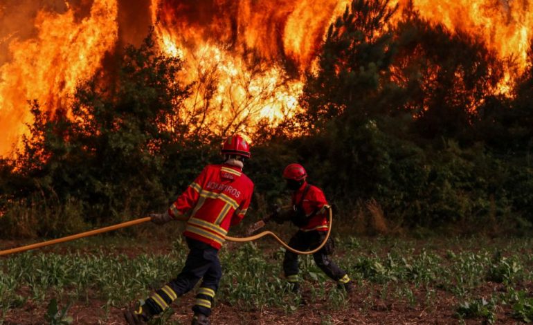 Steigende Anzahl von Waldbränden in Europa
