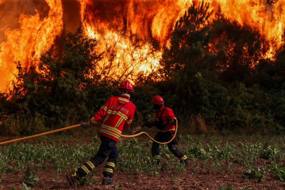 Steigende Anzahl von Waldbränden in Europa