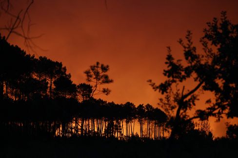 Massenevakuierung wegen Waldbrandes an der Atlantikküste