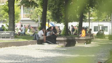 Mangel an Schattenplätzen in Mannheim: Eine Klimaherausforderung
