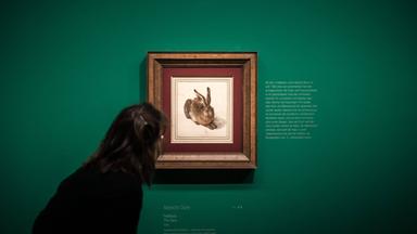 Das Wiener MuseumsQuartier: Ein Zentrum der Kunst und Kultur
