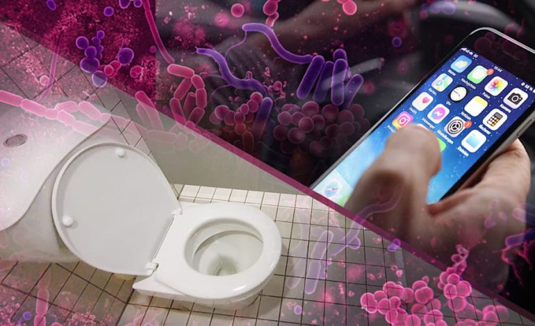 Keimvergleich zwischen Handy und Toilette