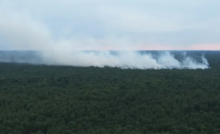Waldbrand im Müritz-Nationalpark erschwert durch Munition