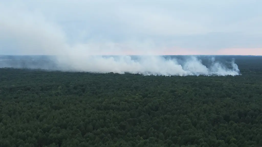 Waldbrand im Müritz-Nationalpark erschwert durch Munition