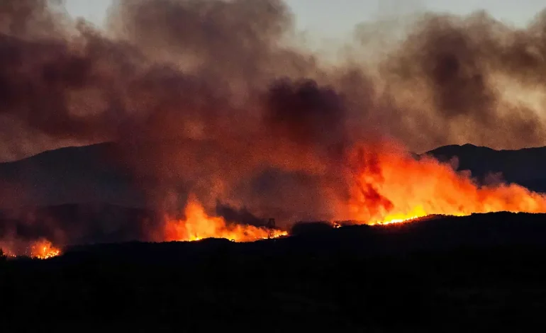 Waldbrände in Südfrankreich führen zu Massen-Evakuierungen