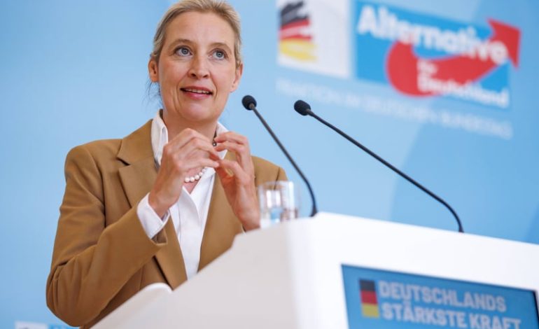 AfD-Machtkampf in Nordrhein-Westfalen: Weidels Grenzen