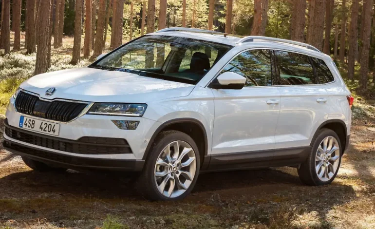 Gebrauchtwagencheck Skoda Karoq