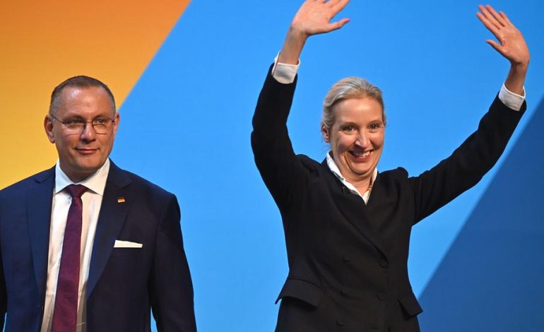 Wahlen und Entscheidungen beim AfD-Parteitag in Erfurt