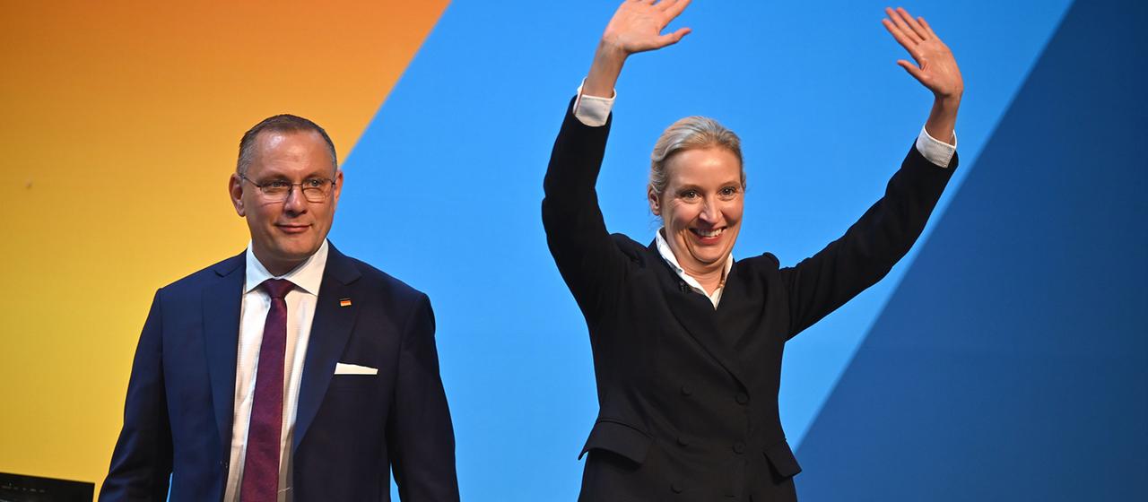 Wahlen und Entscheidungen beim AfD-Parteitag in Erfurt