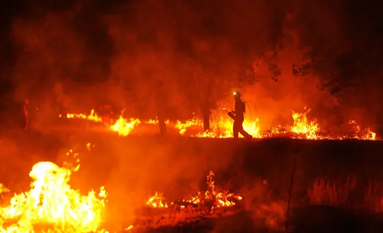 Waldbrände in Spanien und Frankreich – Ausmaß und Folgen