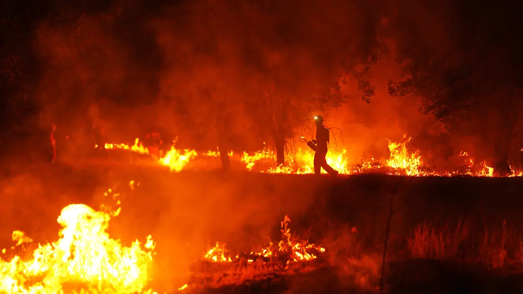 Waldbrände in Spanien und Frankreich – Ausmaß und Folgen