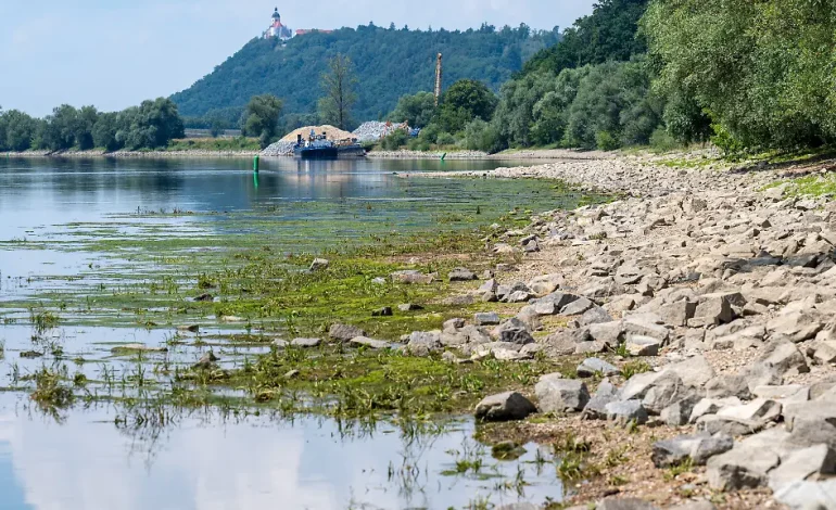 Wasserknappheit und ihre Auswirkungen in Deutschland