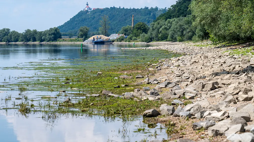Wasserknappheit und ihre Auswirkungen in Deutschland