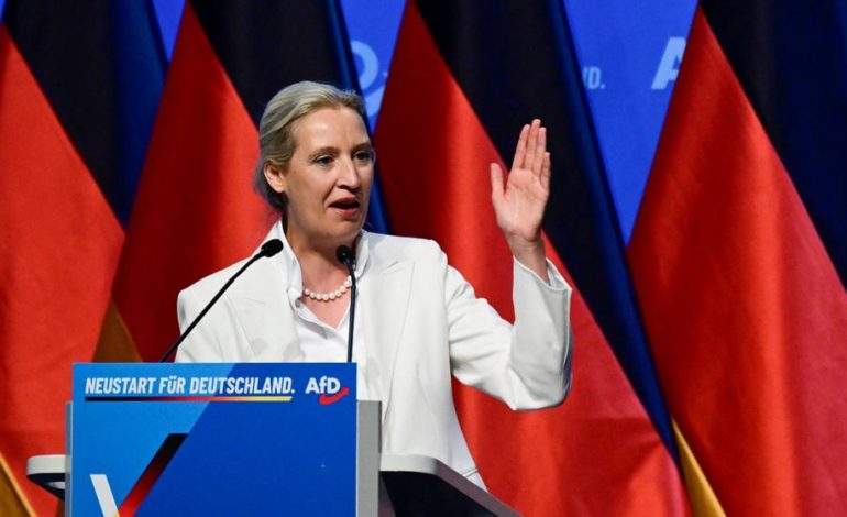 Analyse des AfD-Bundesparteitags: Weidels und Höckes Machtausbau
