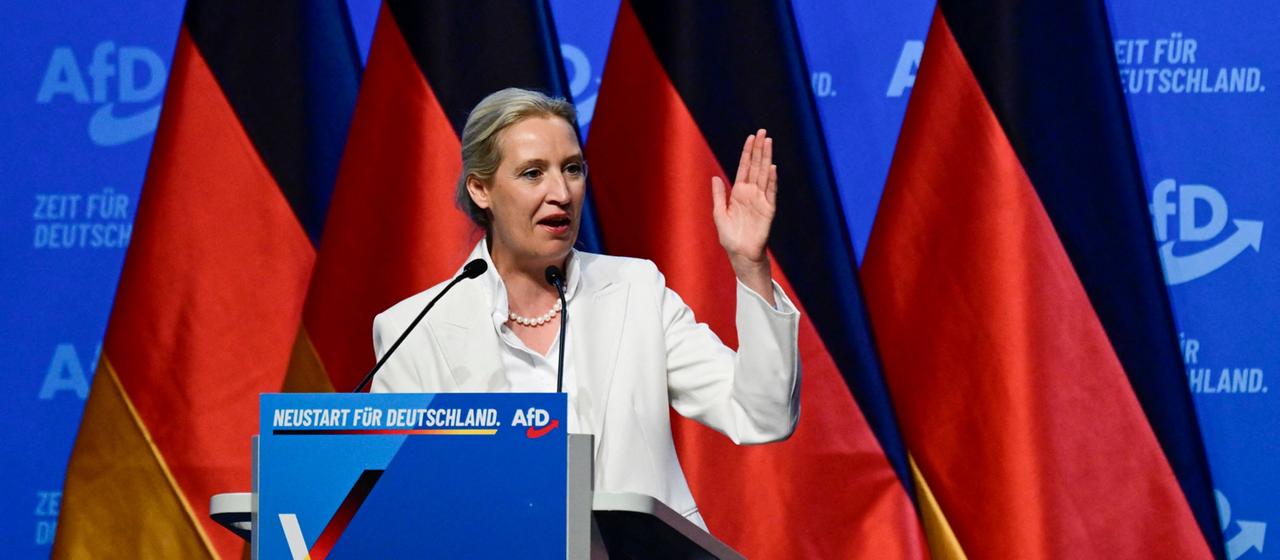 Analyse des AfD-Bundesparteitags: Weidels und Höckes Machtausbau