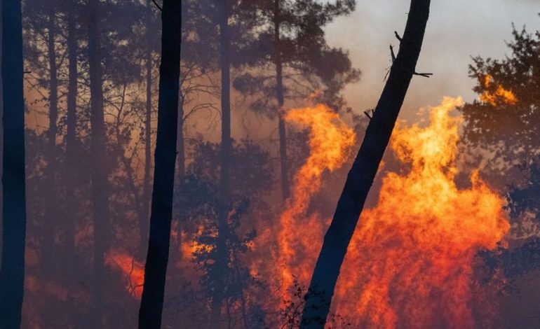 Waldbrände in Spanien und Frankreich: Der Kampf gegen die Flammen