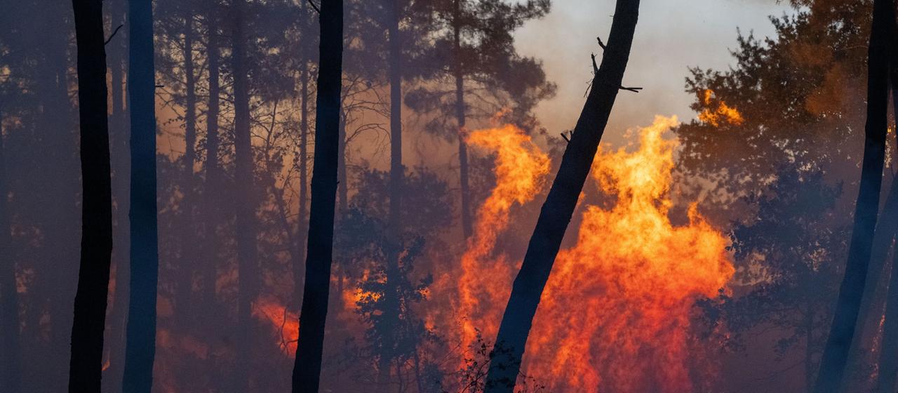 Waldbrände in Spanien und Frankreich: Der Kampf gegen die Flammen