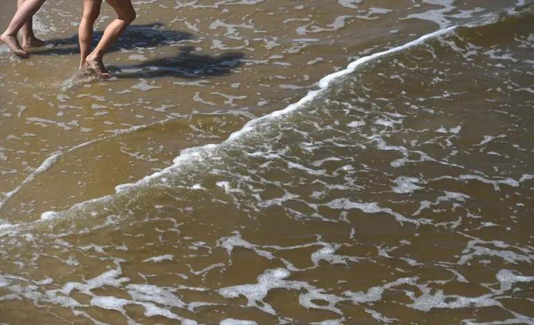 Gefährliche Vibrionen in der Ostsee: Ein Berliner stirbt nach Infektion