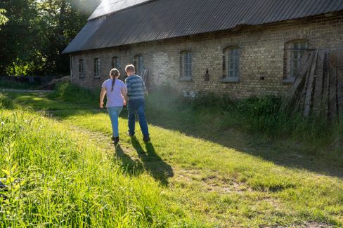Das Leben auf dem Bauernhof: Hühnerzucht im Porträt
