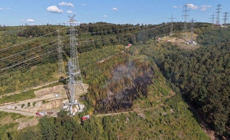 Gefährliche Löscharbeiten bei Waldbränden in Iserlohn und Müritz-Nationalpark