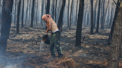 Waldbrände in Südeuropa: Ein Überblick