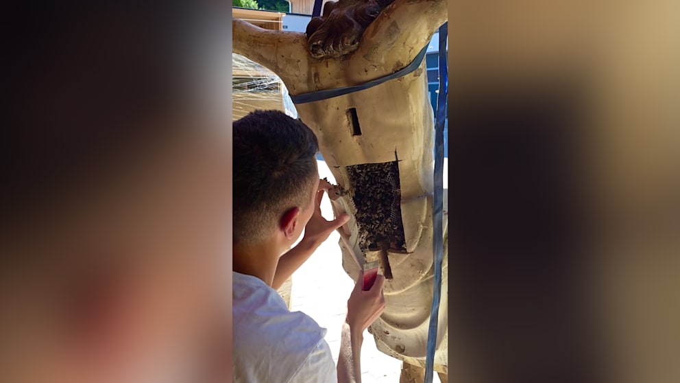 Ungewöhnlicher Fund: Bienenvolk im Jesus-Kruzifix