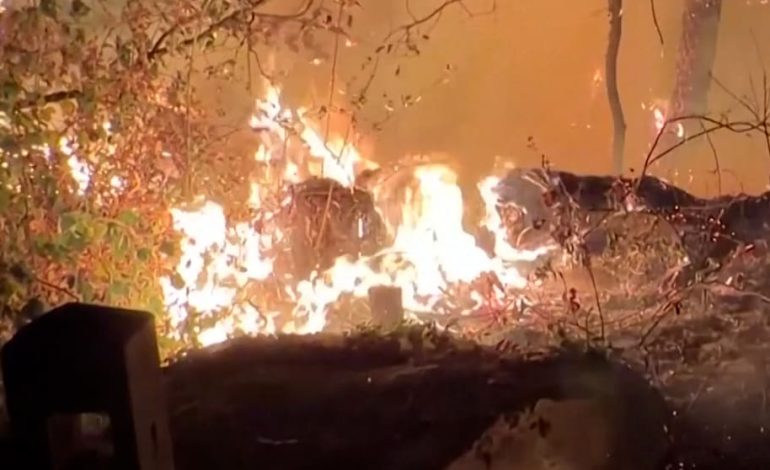 Großbrand im Wald von Fontainebleau zerstört weite Flächen