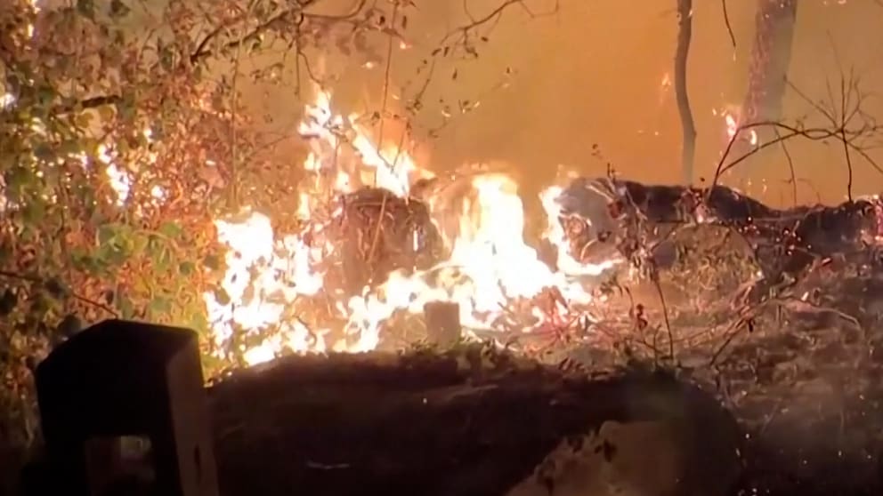 Großbrand im Wald von Fontainebleau zerstört weite Flächen
