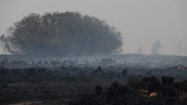 Waldbrand und Wasserknappheit beherrschen die Nachrichten