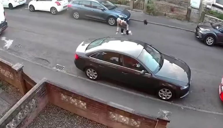 Unerwarteter Angriff durch aggressive Krähe in Burnley