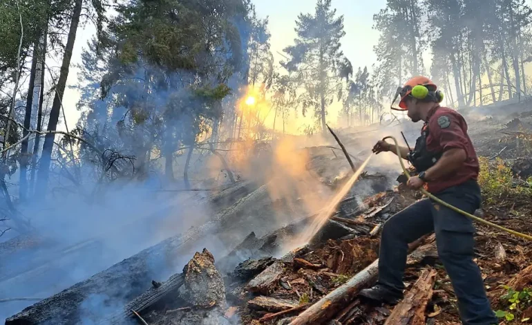 Kanada kämpft gegen Waldbrände in British Columbia