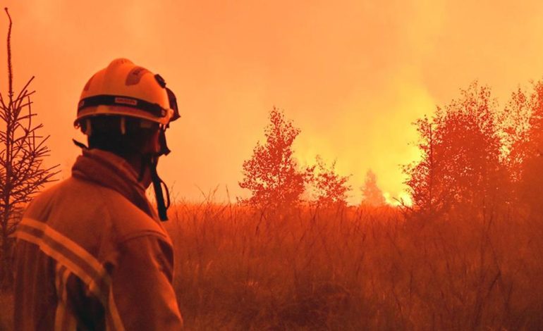 Europäische Waldbrände: Risiko steigt mit dem Klimawandel