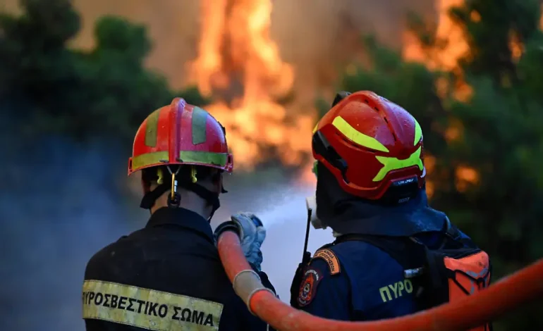 Waldbrände in Europa: Rettungsbemühungen und Evakuierungen