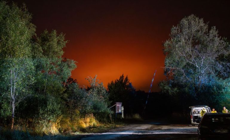 Waldbrände an der belgisch-deutschen Grenze: Aktuelle Entwicklungen