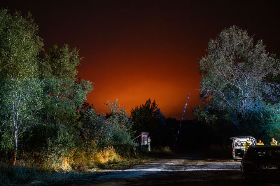 Waldbrände an der belgisch-deutschen Grenze: Aktuelle Entwicklungen