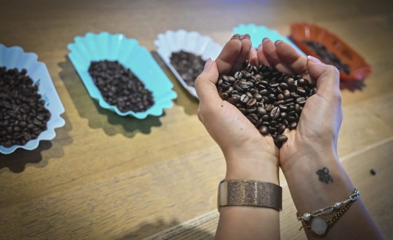 Der perfekte Espresso: Espressobohnen im Test