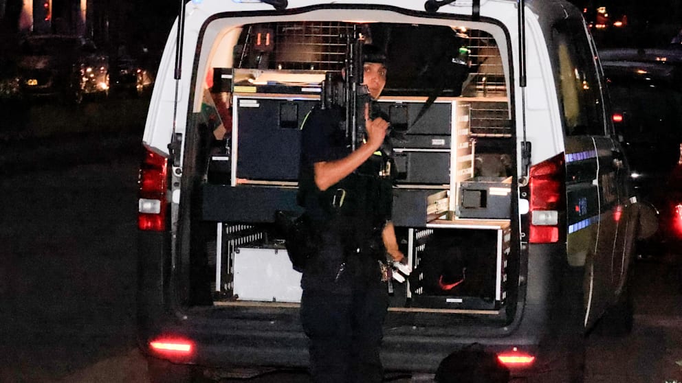 Clankriminalität in Berlin: Eine gefährliche Realität