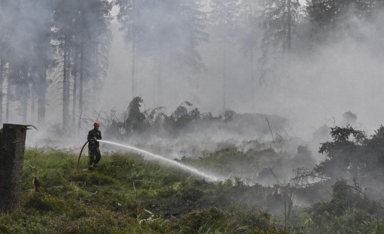 Waldbrand im Hohen Venn bleibt Herausforderung