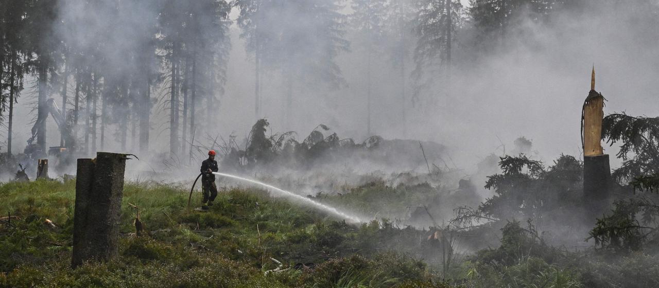Waldbrand im Hohen Venn bleibt Herausforderung
