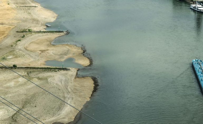 Deutschlands Flüsse und die wirtschaftlichen Auswirkungen von Niedrigwasser