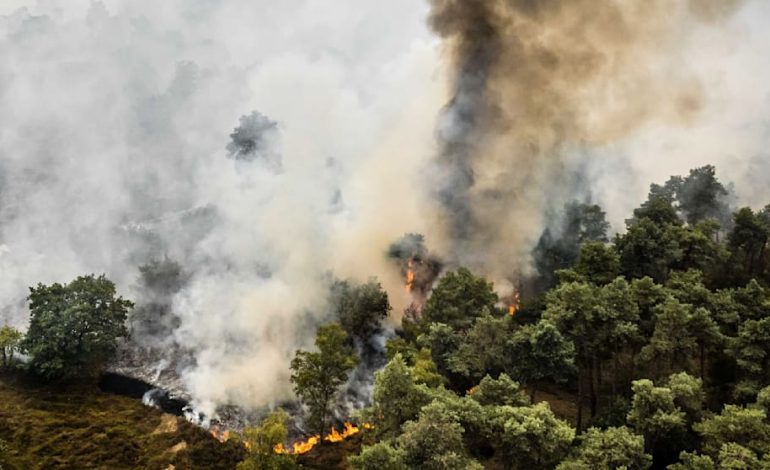 Flammen-Inferno in Europa: Wälder brennen, Flüsse schrumpfen