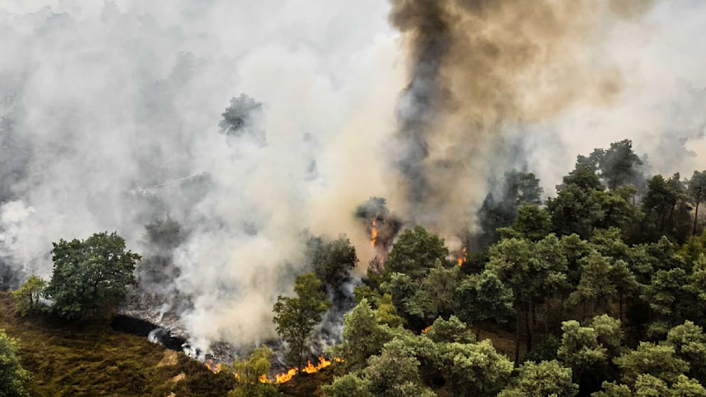 Flammen-Inferno in Europa: Wälder brennen, Flüsse schrumpfen