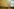 Zerstörerische Brände in Deutschland und Belgien: Alarmierende Feuersituation und Forderung nach Aktionsplan