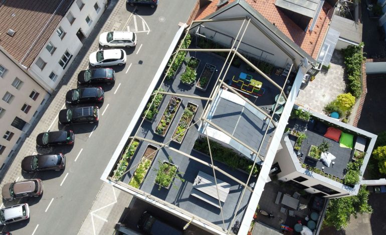 Dachgärten: Grünflächen über den Dächern der Stadt