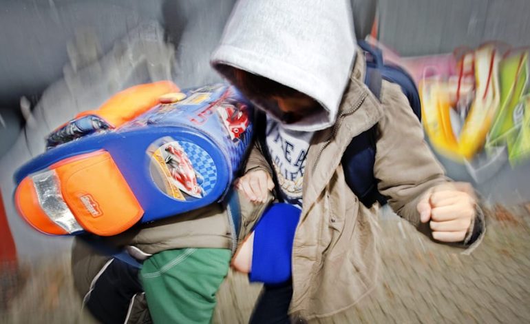 Gewalt an Schulen: Lehrerverbands-Chef fordert Sofortmaßnahmen